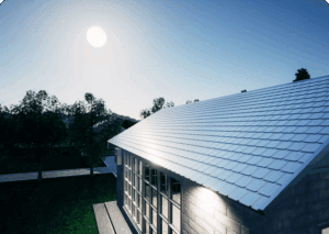 Moonlit house with metal roof